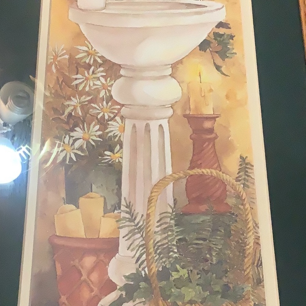 Adorable Shabby Chic Framed Water Coloring of a bathroom sink and plants.